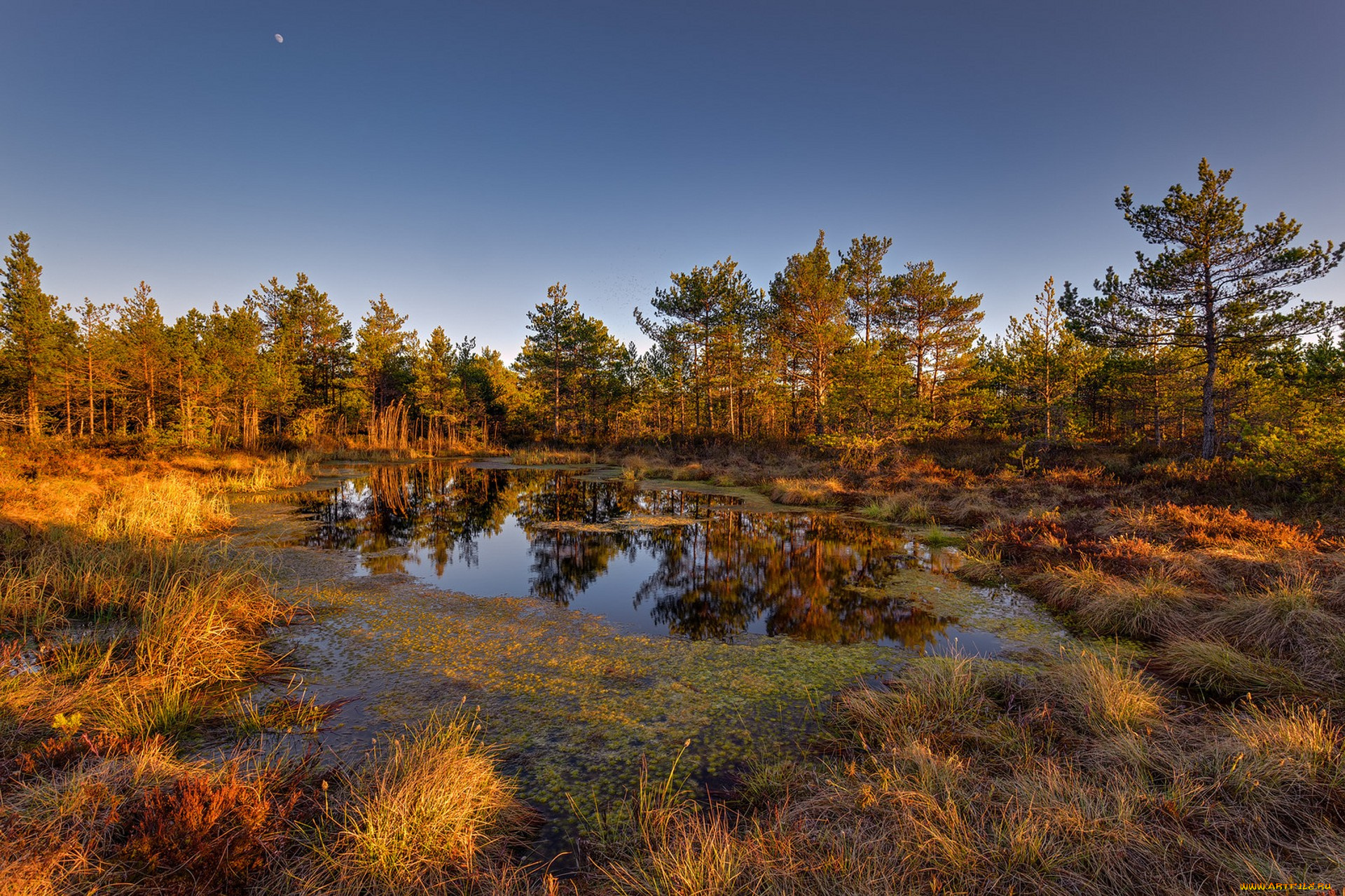 природа, реки, озера, простор