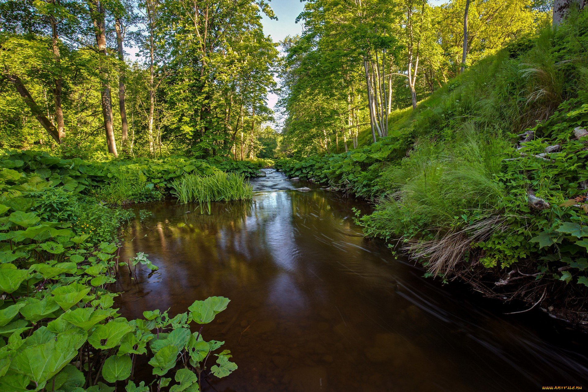 природа, реки, озера, простор