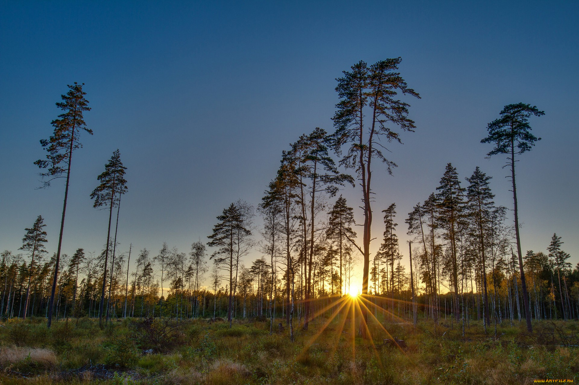 природа, восходы, закаты, простор