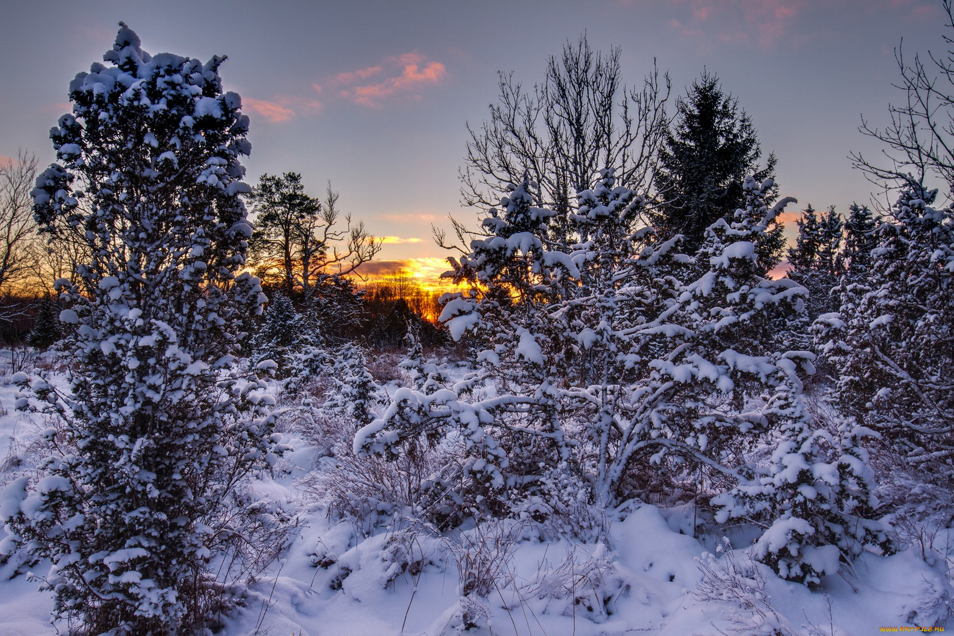 природа, зима, простор