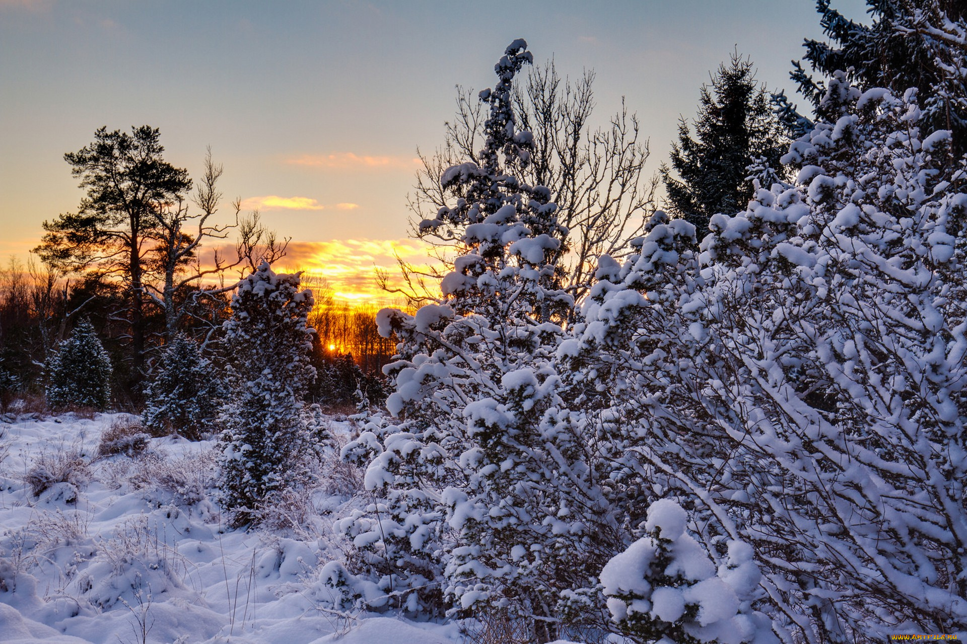 природа, зима, простор