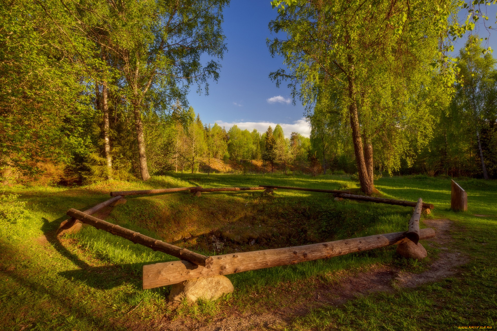 природа, лес, простор