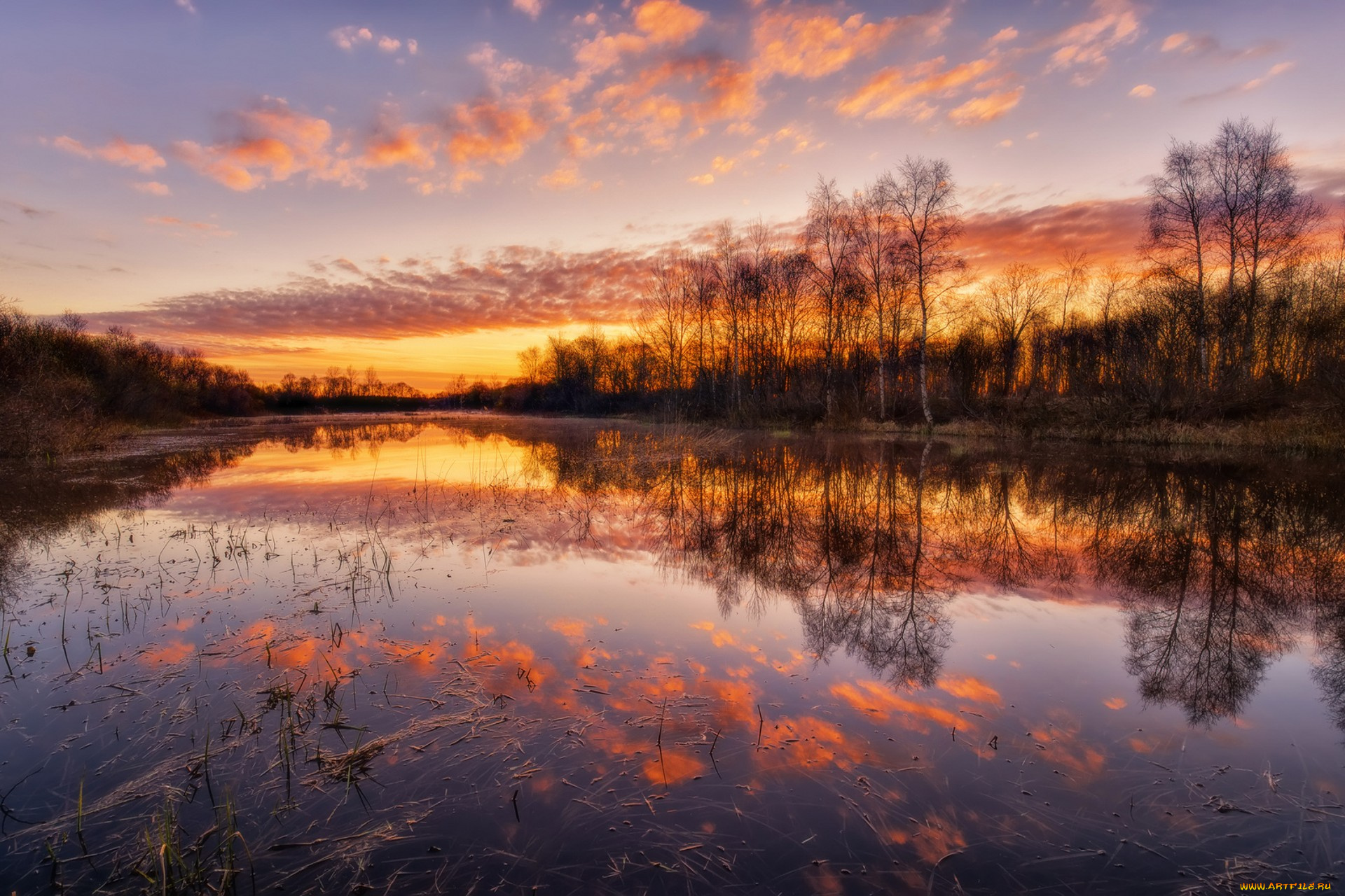 природа, реки, озера, простор