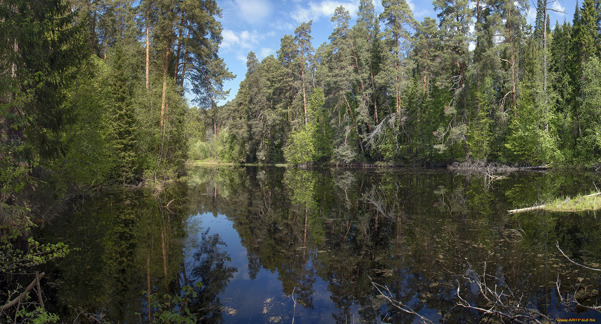 природа, реки, озера, простор