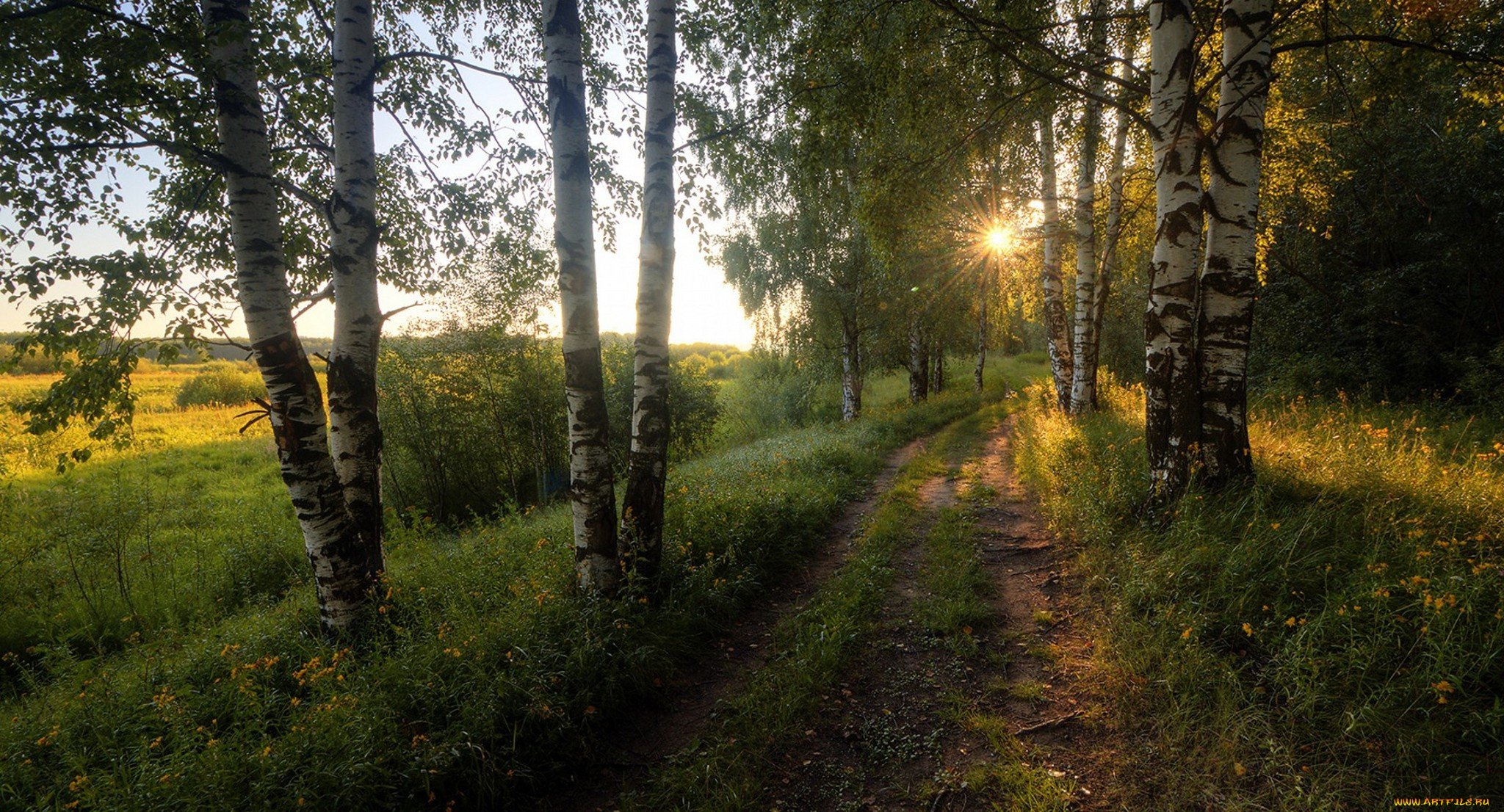 природа, дороги, рассвет