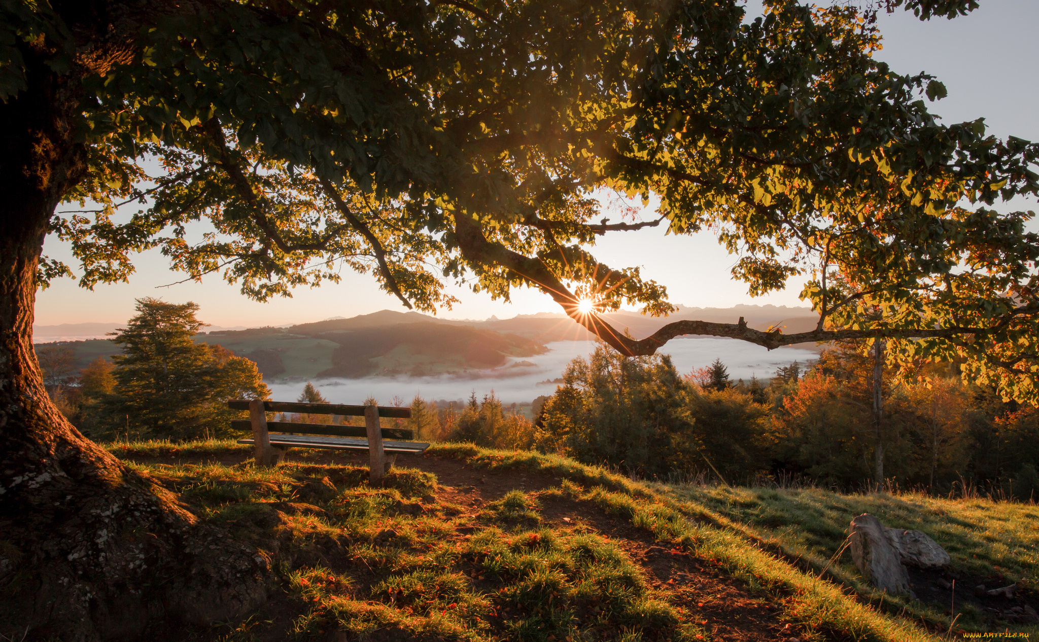 природа, пейзажи, простор