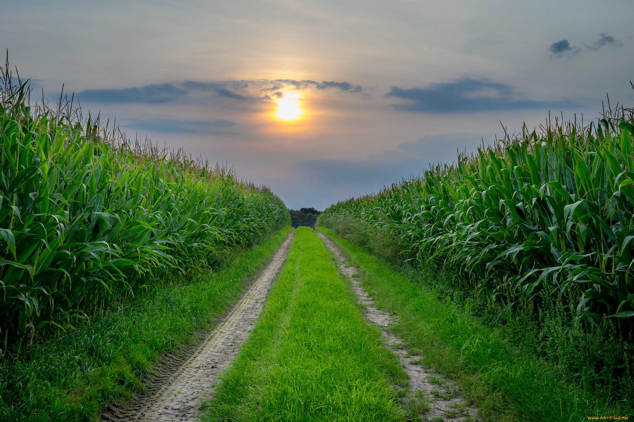 природа, дороги, простор