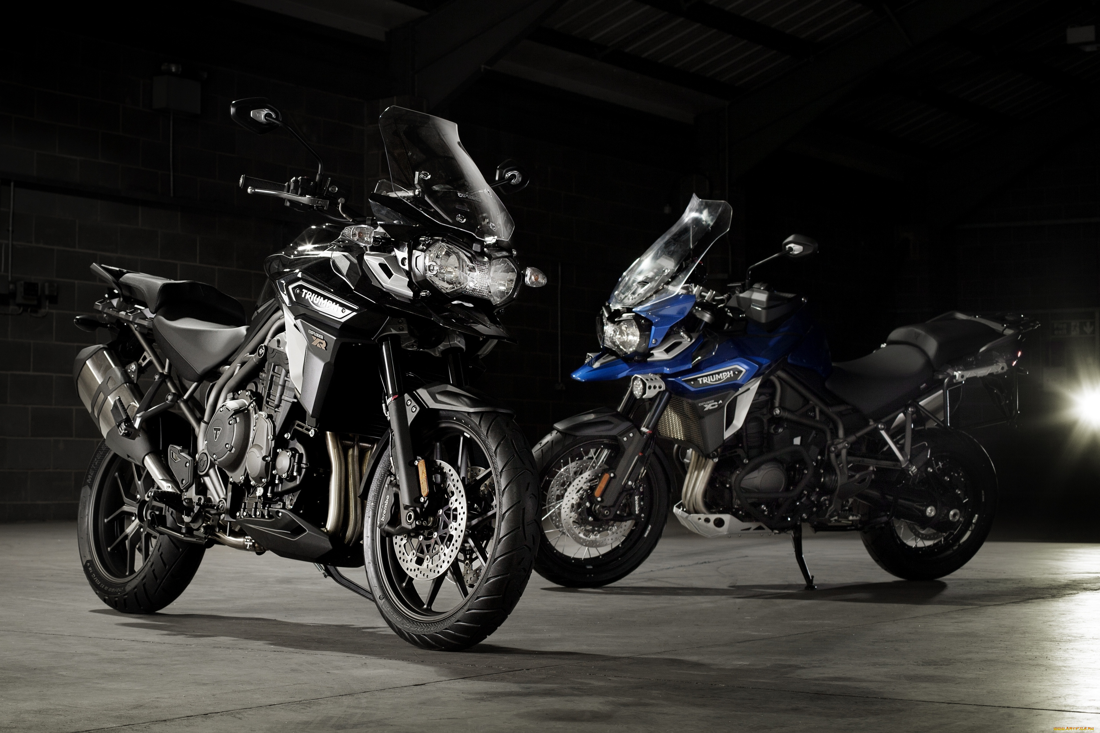 мотоциклы, triumph