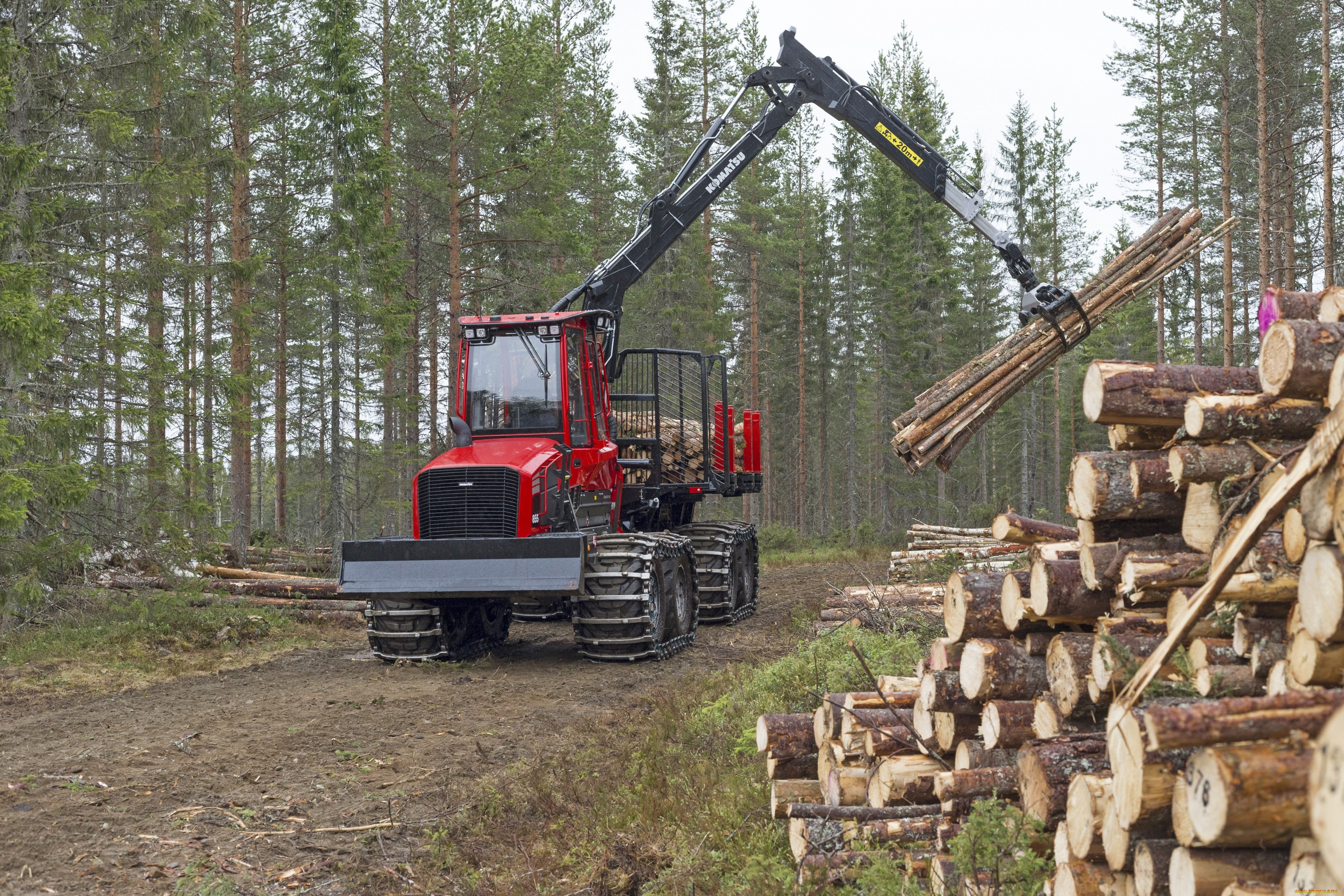 техника, лесоповалочная, техника, komatsu