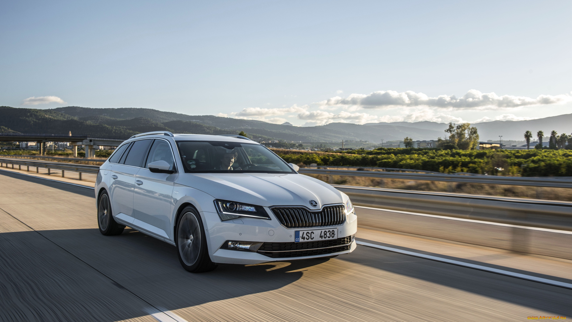 автомобили, skoda