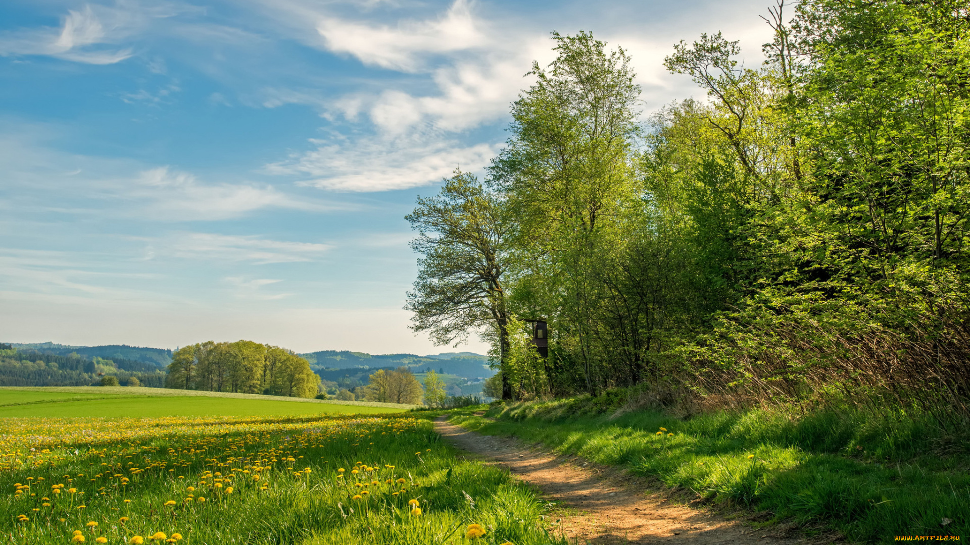 природа, дороги, простор