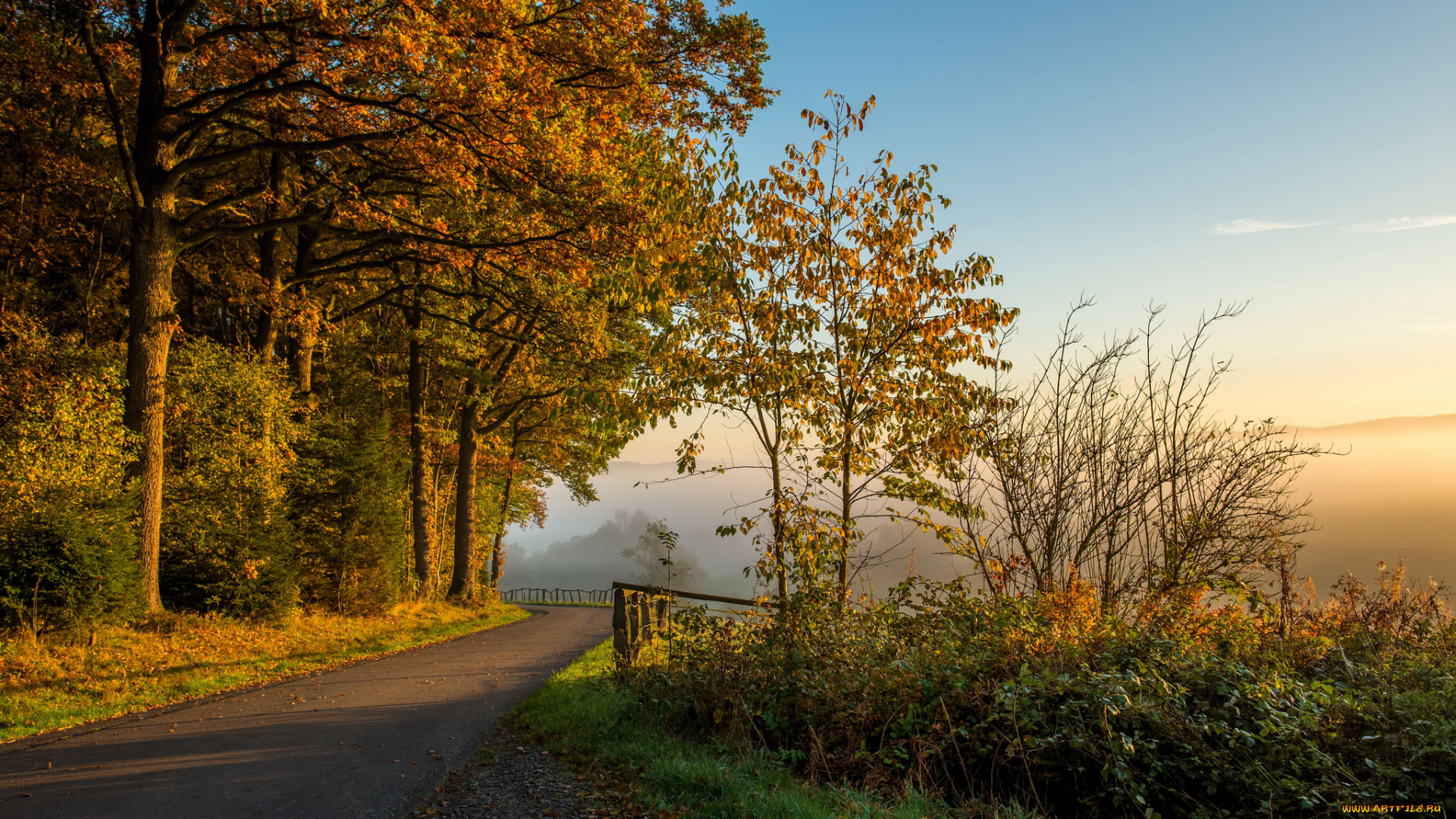 природа, дороги, простор