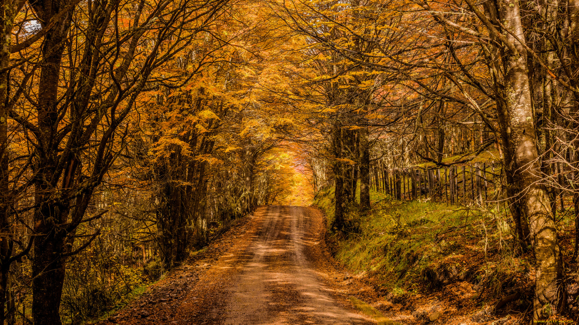 природа, дороги, простор