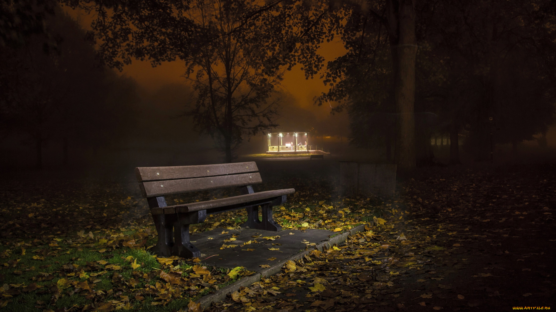 природа, парк, листья, скамейка