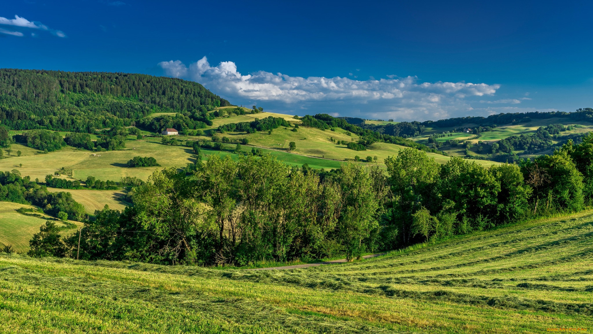 природа, пейзажи, простор