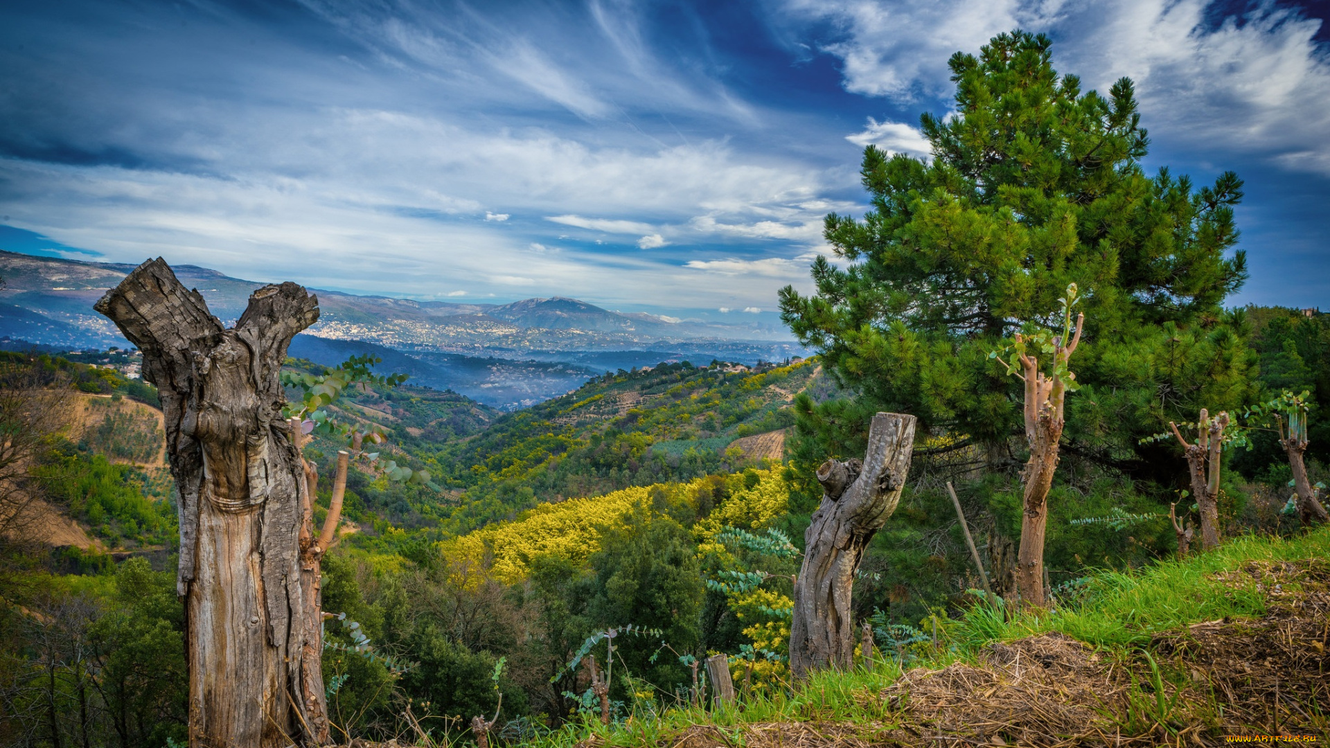 природа, пейзажи, простор