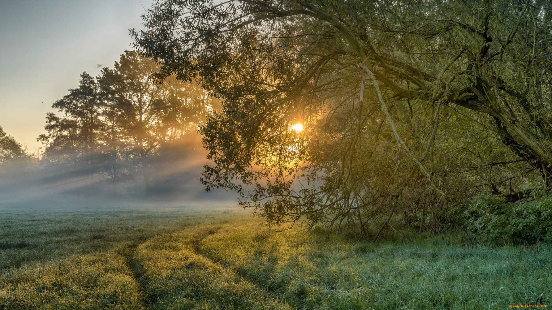 природа, пейзажи, простор