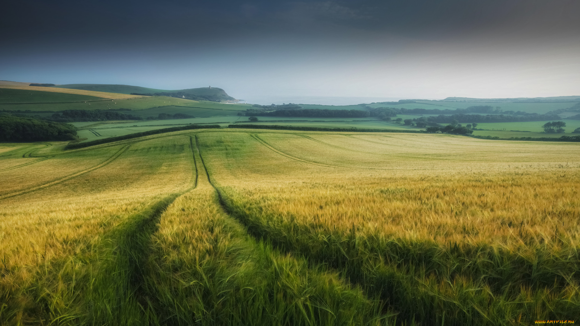 природа, поля, простор