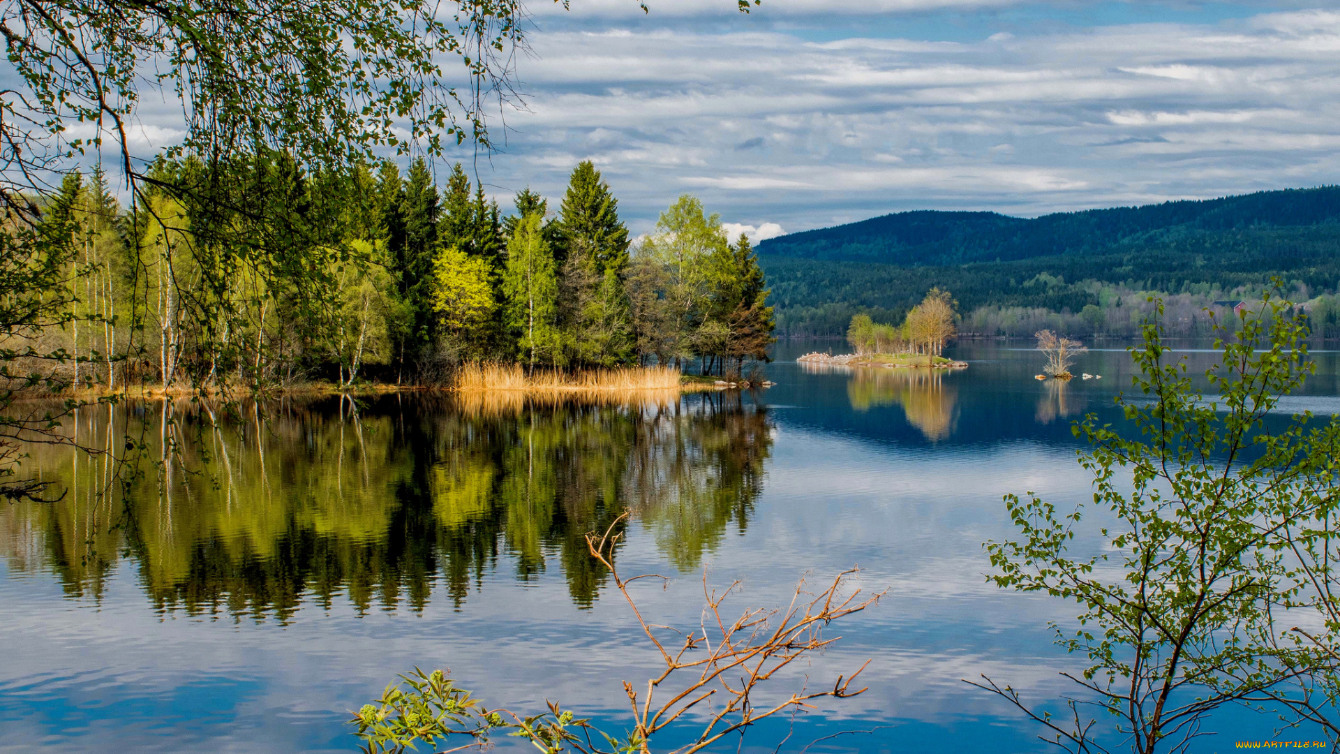 природа, реки, озера, простор