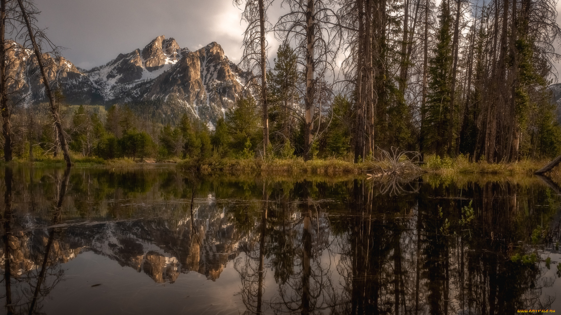 природа, реки, озера, простор