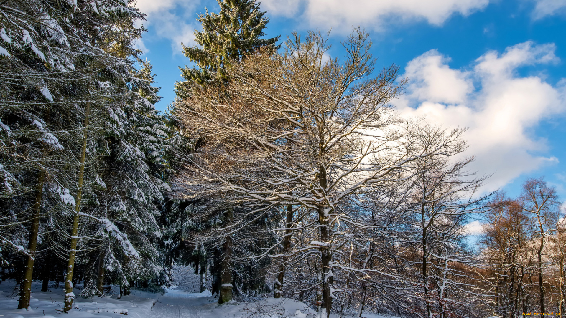 природа, зима, простор