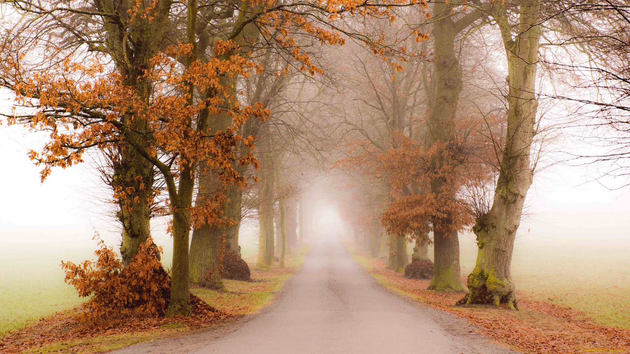 природа, дороги, простор