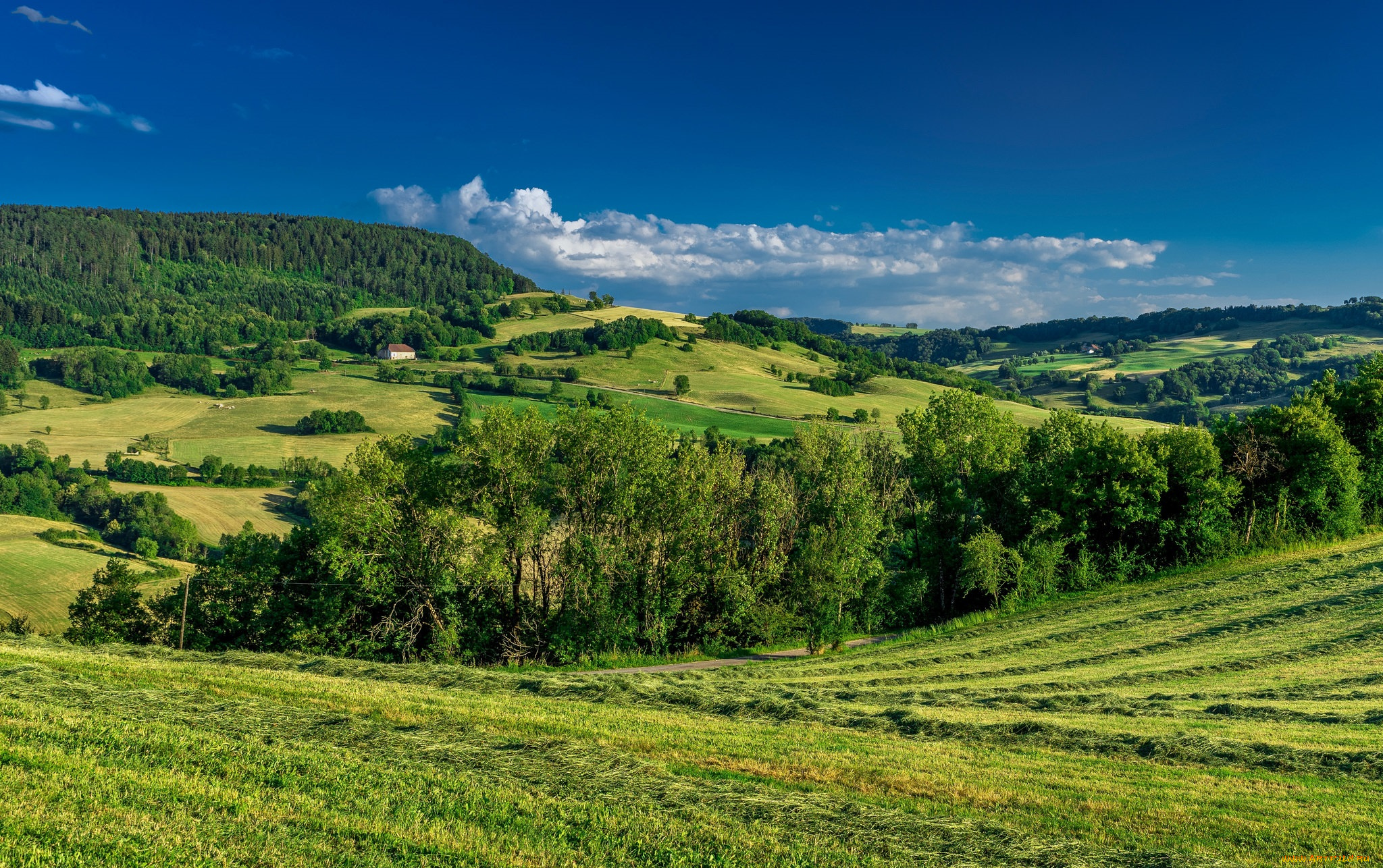 природа, пейзажи, простор