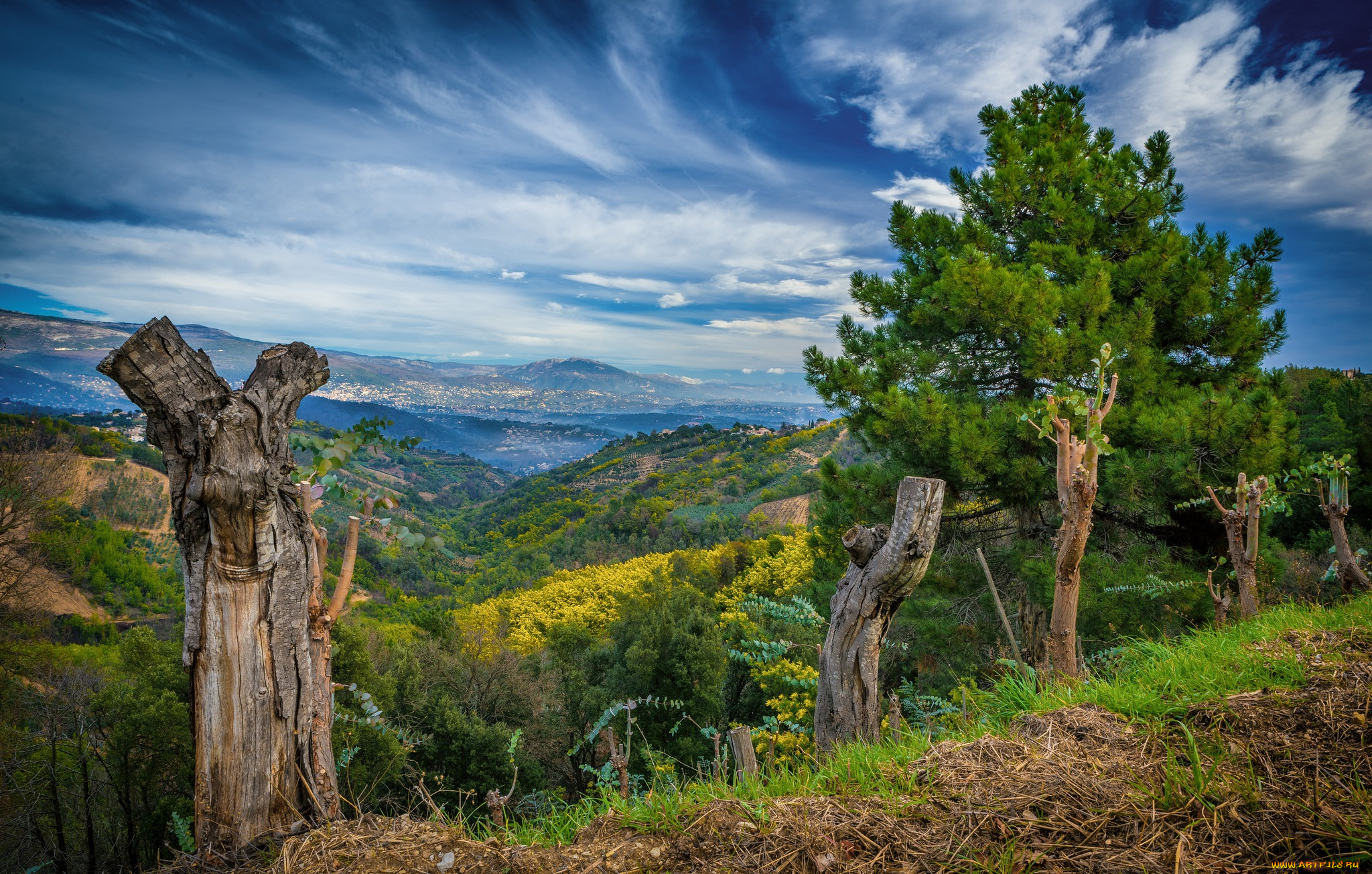 природа, пейзажи, простор