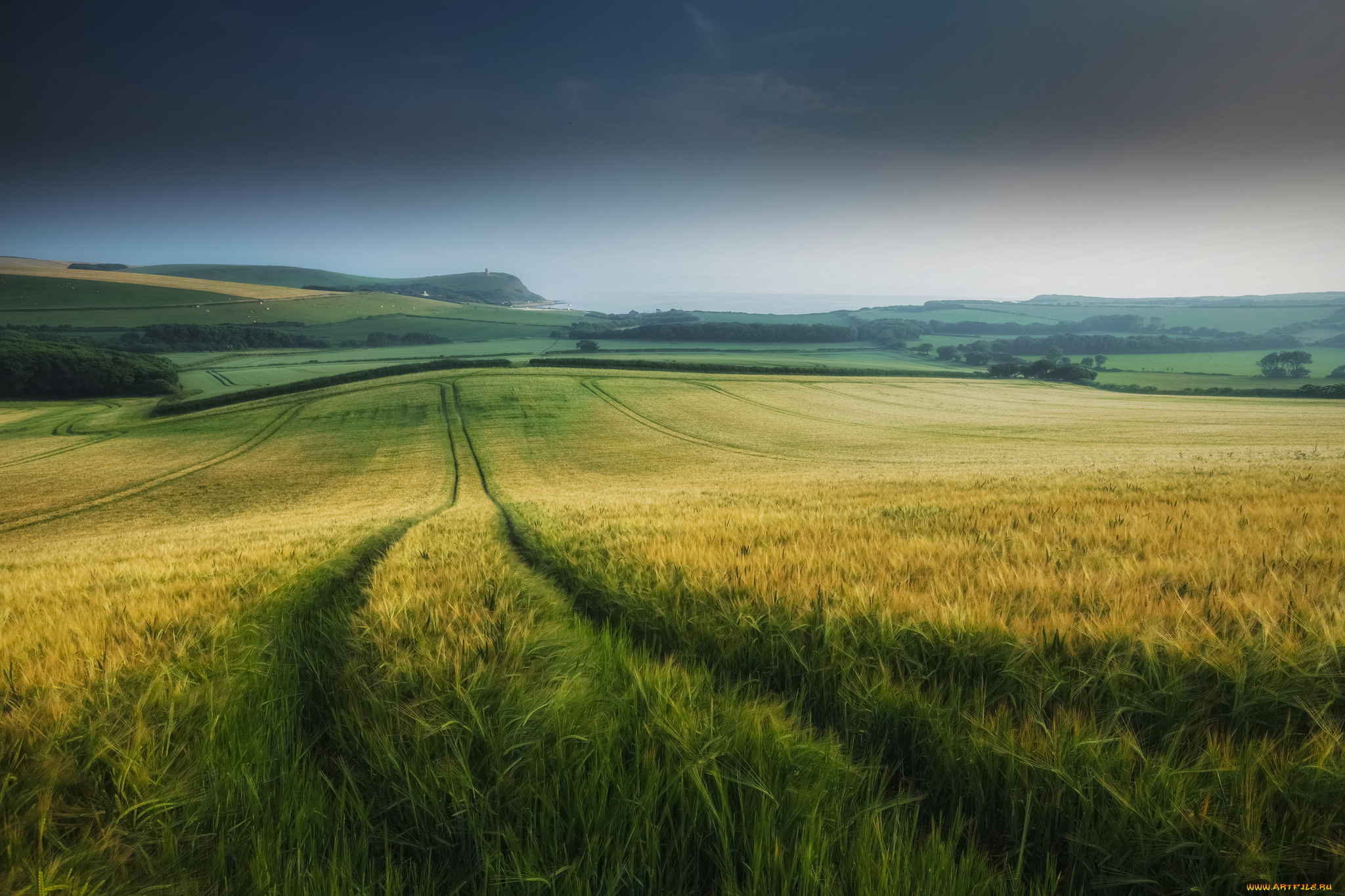 природа, поля, простор