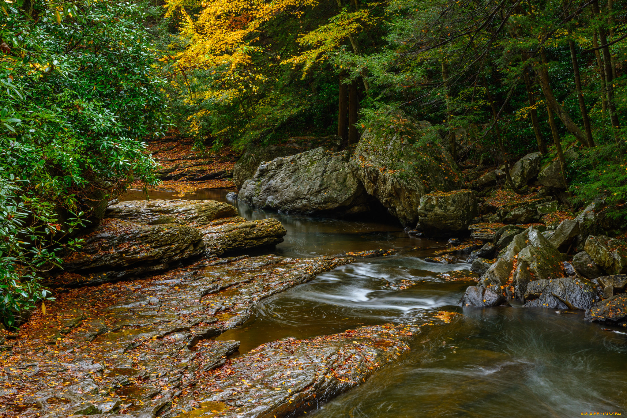 природа, реки, озера, простор