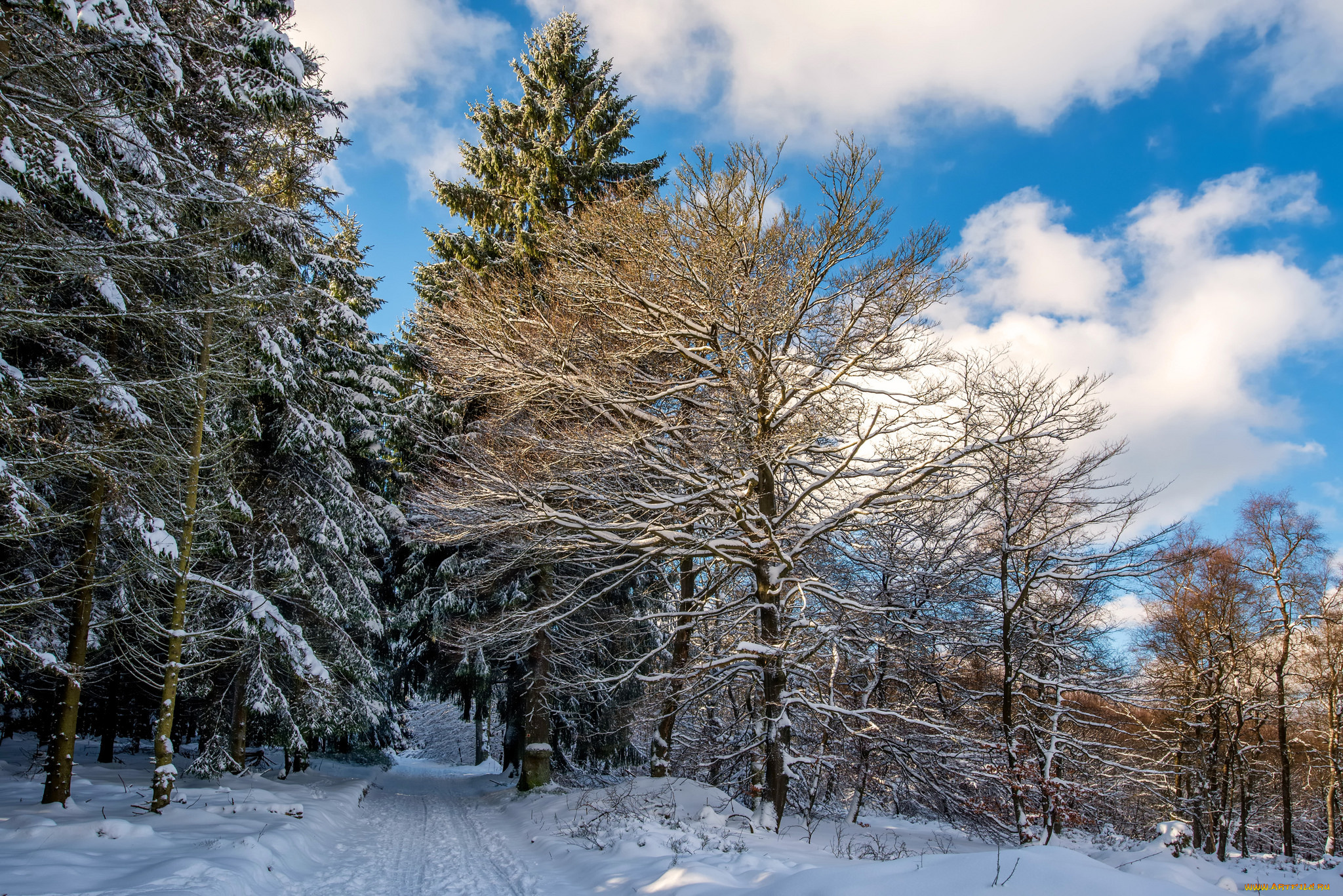 природа, зима, простор