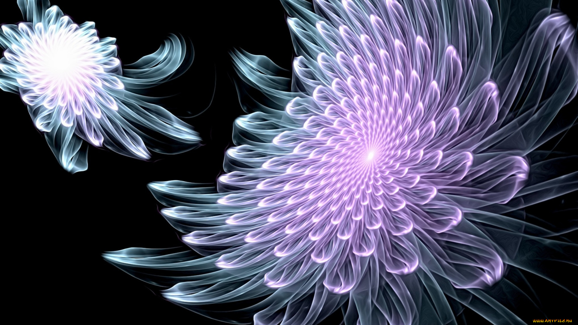 3д, графика, цветы, , flowers, цвет, фон, узор