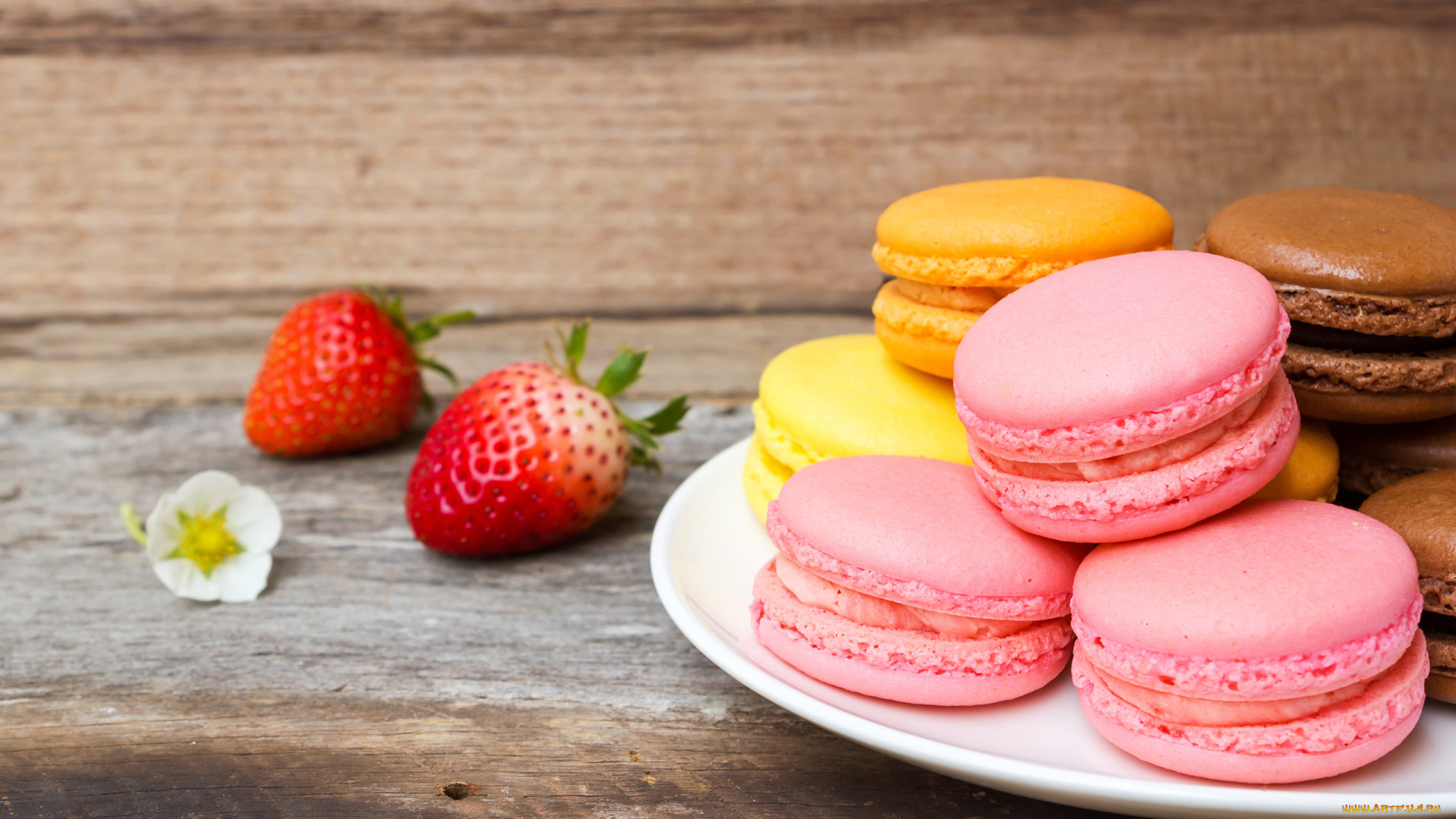 еда, макаруны, лакомство, ассорти