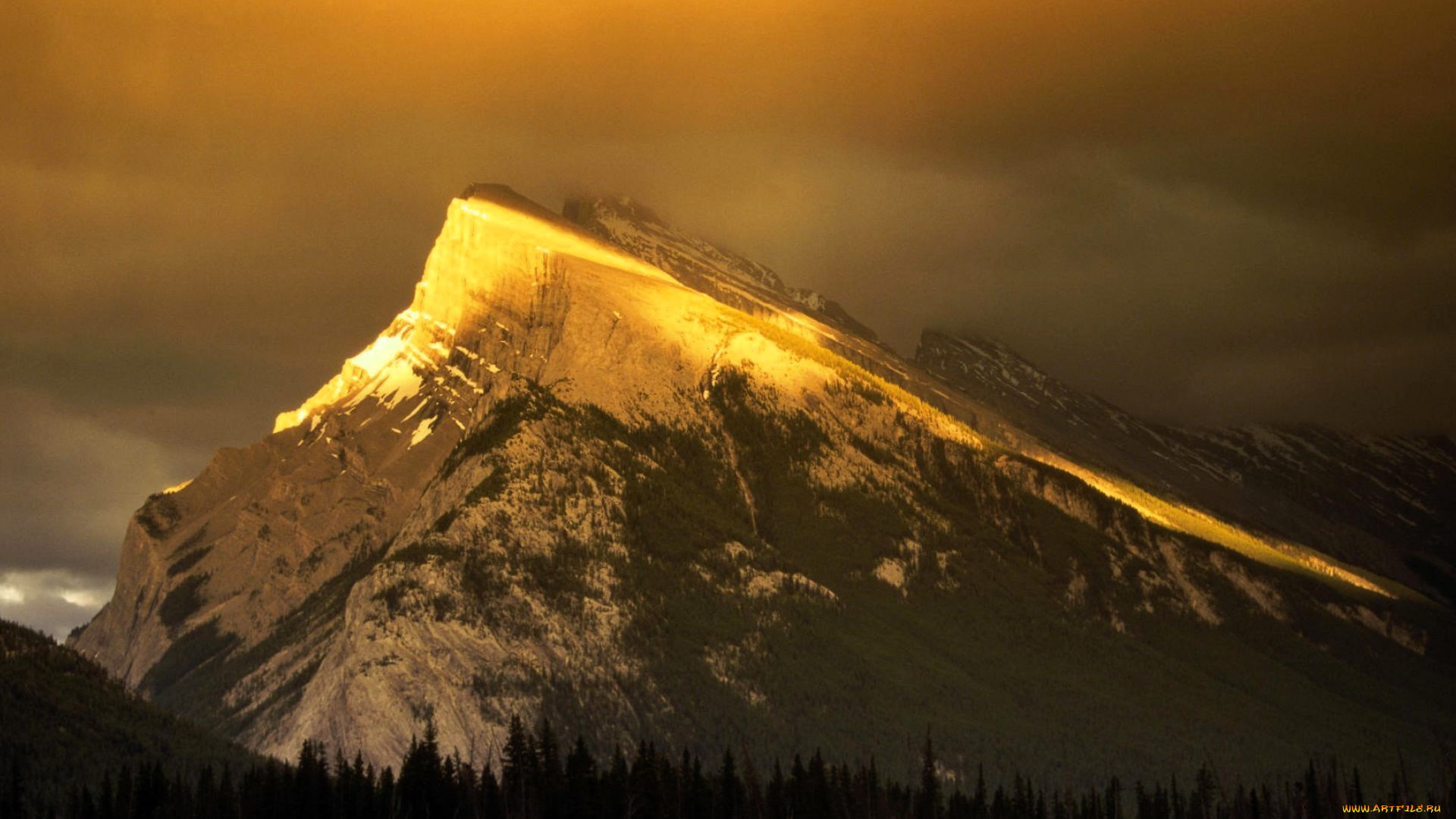 природа, горы, гора, закат, лес