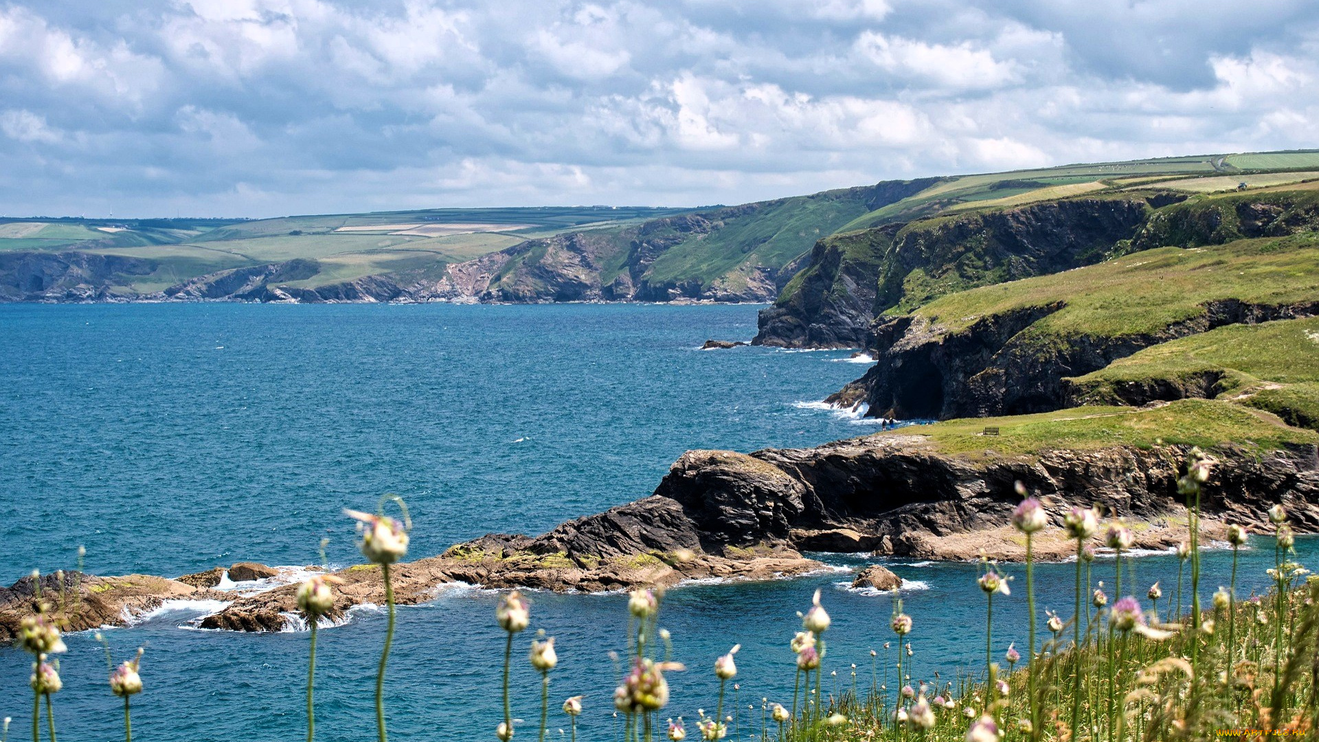 природа, побережье, небо, облака, берег, озеро, луг, растения