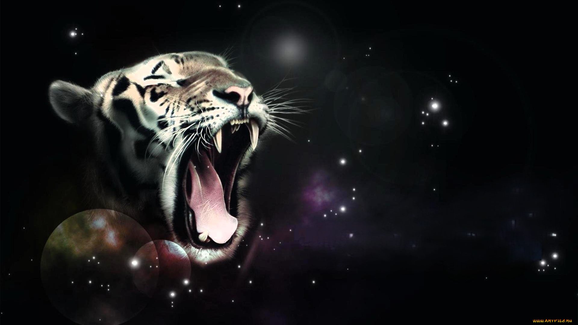 разное, компьютерный, дизайн, тигр, пасть, звезды, космос