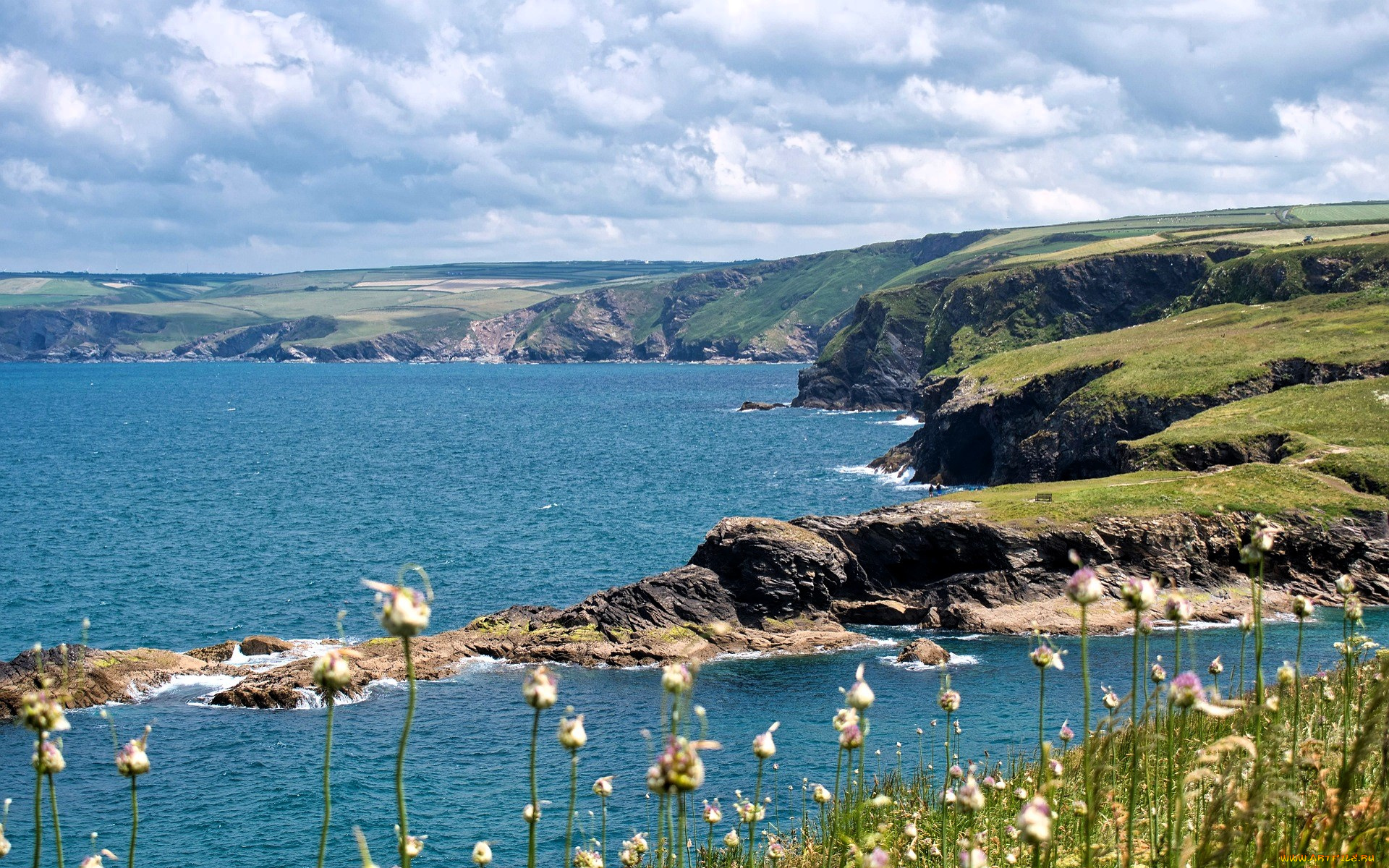 природа, побережье, небо, облака, берег, озеро, луг, растения