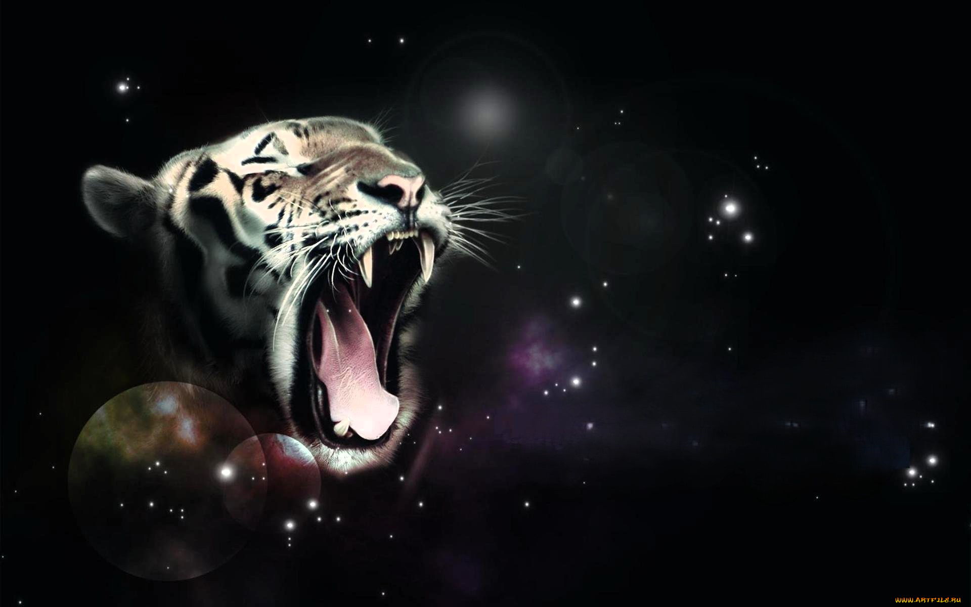 разное, компьютерный, дизайн, тигр, пасть, звезды, космос