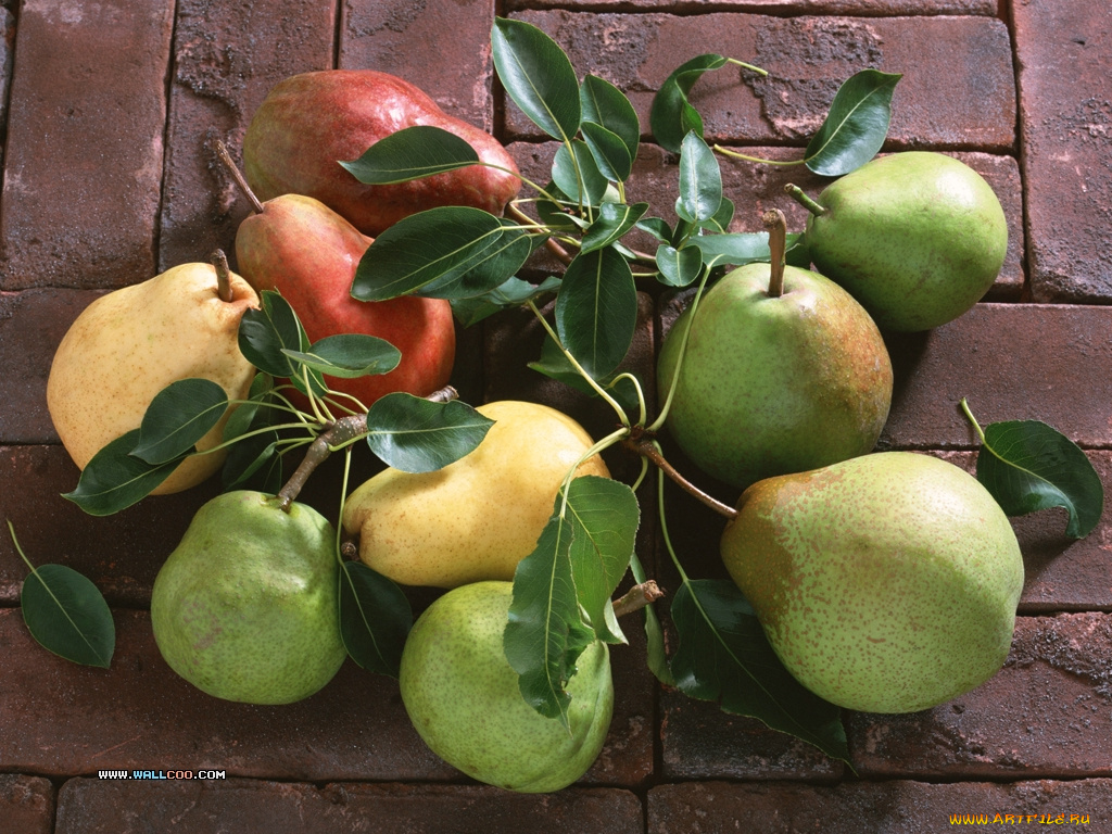 еда, груши