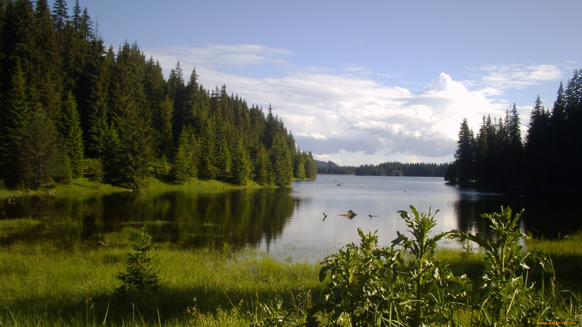 природа, реки, озера