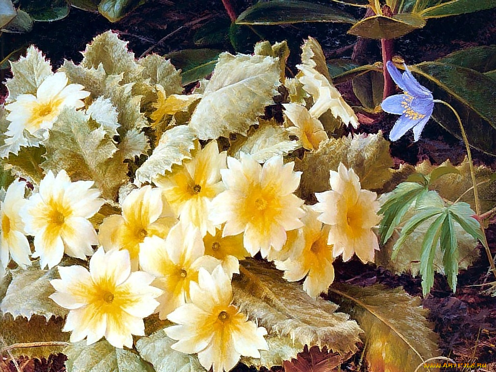 рисованные, цветы