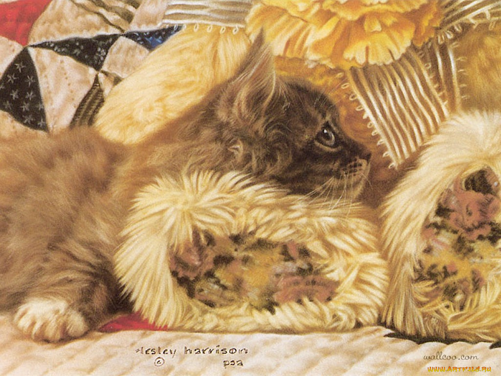 рисованные, животные, коты