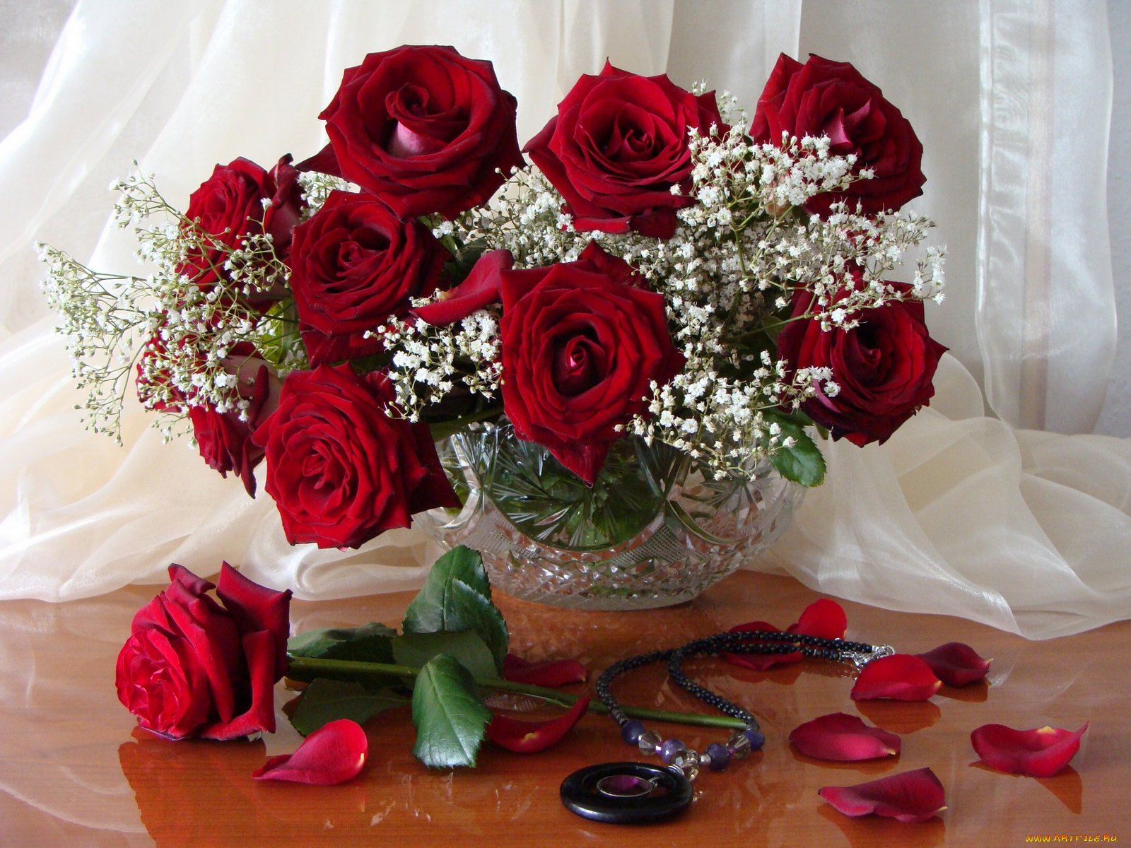 цветы, розы