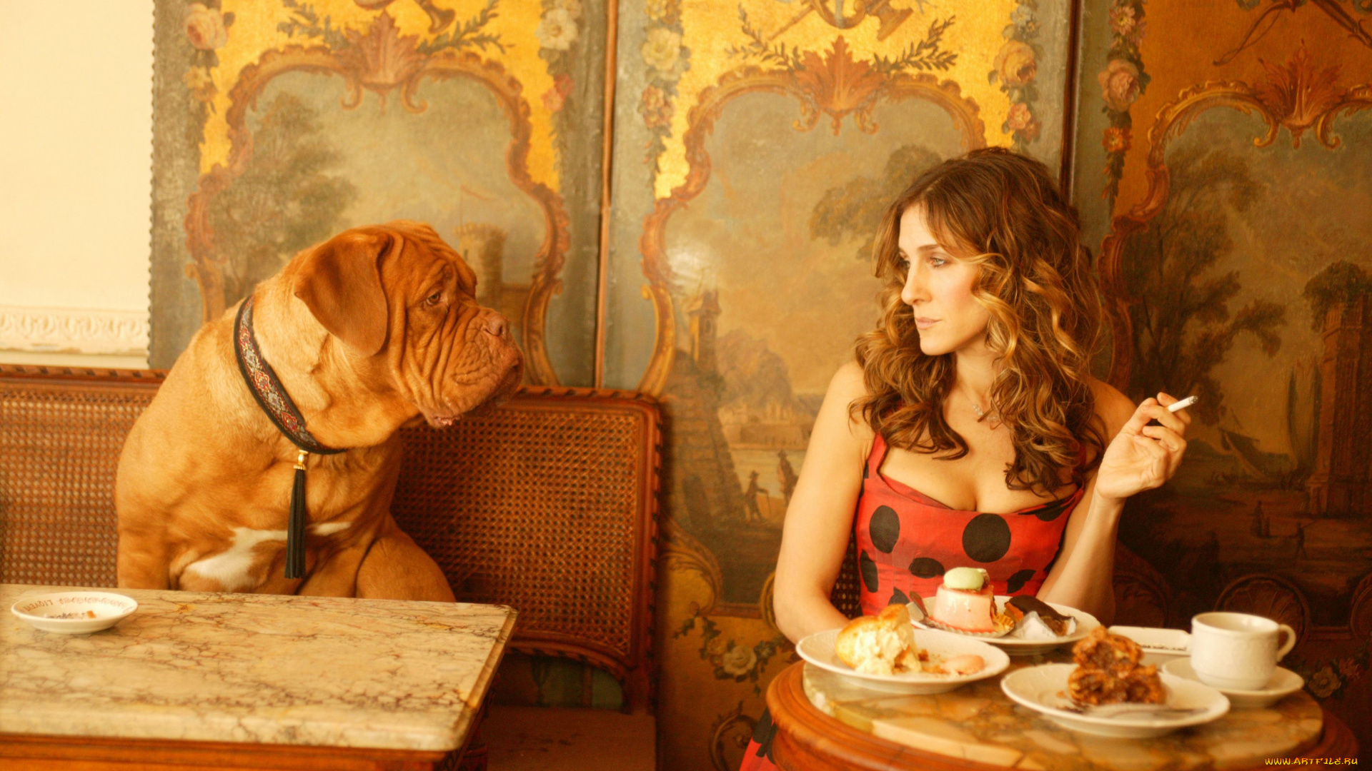 кино, фильмы, sex, and, the, city, sarah, jessica, parker, французский, мастиф