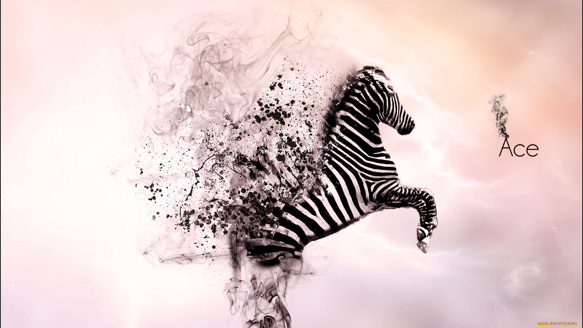 разное, компьютерный, дизайн, зебра