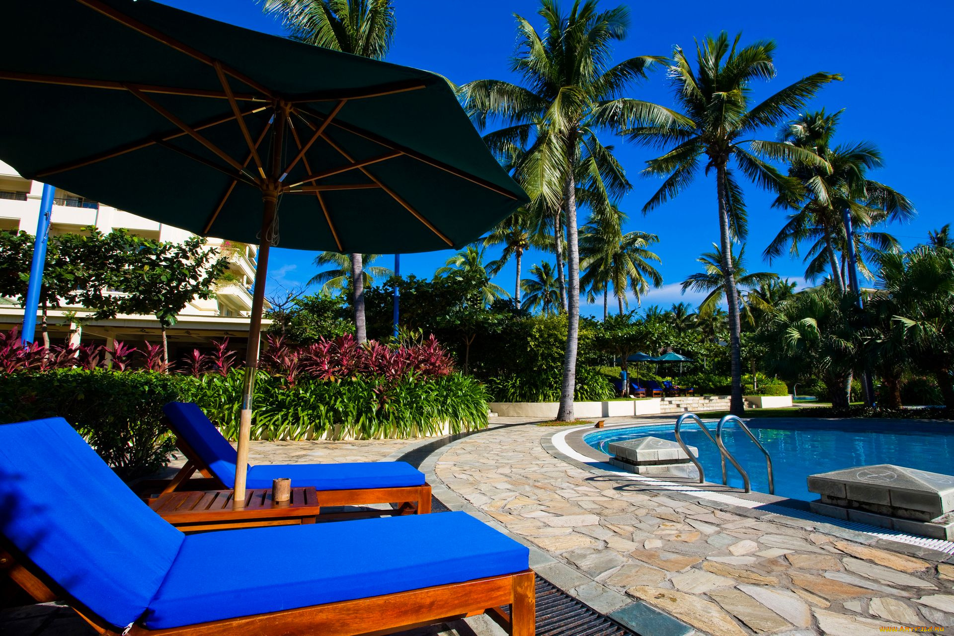 интерьер, бассейны, открытые, площадки, бассейн