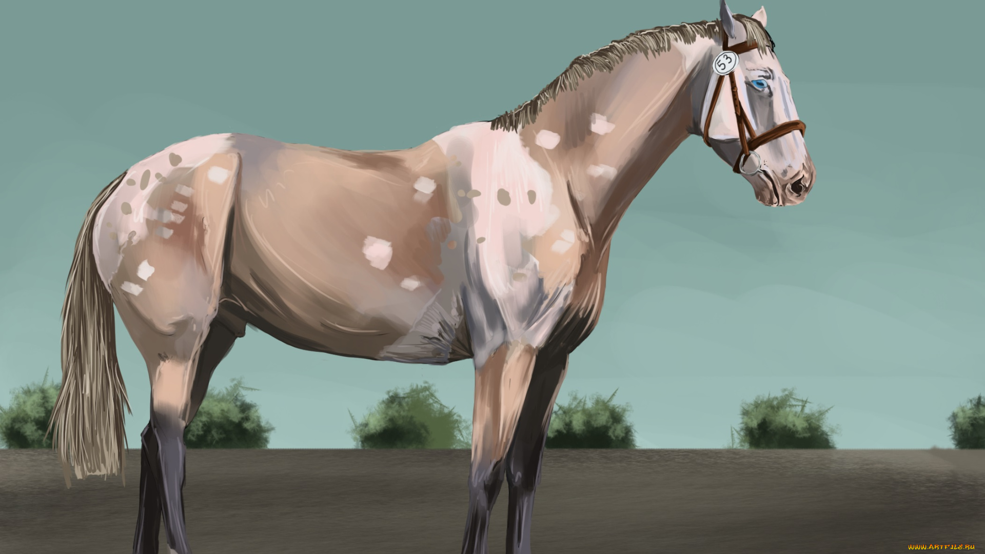 рисованные, животные, лошади, лошадь