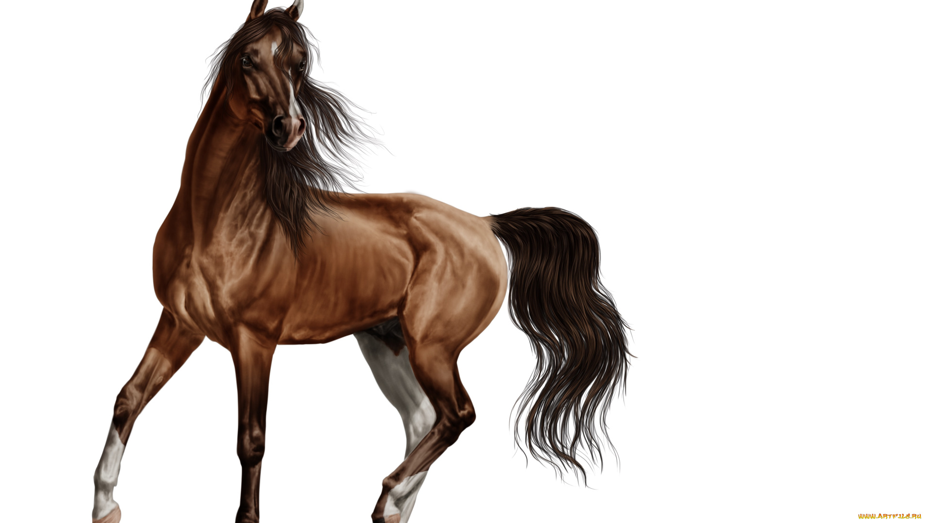 рисованные, животные, лошади, лошадь