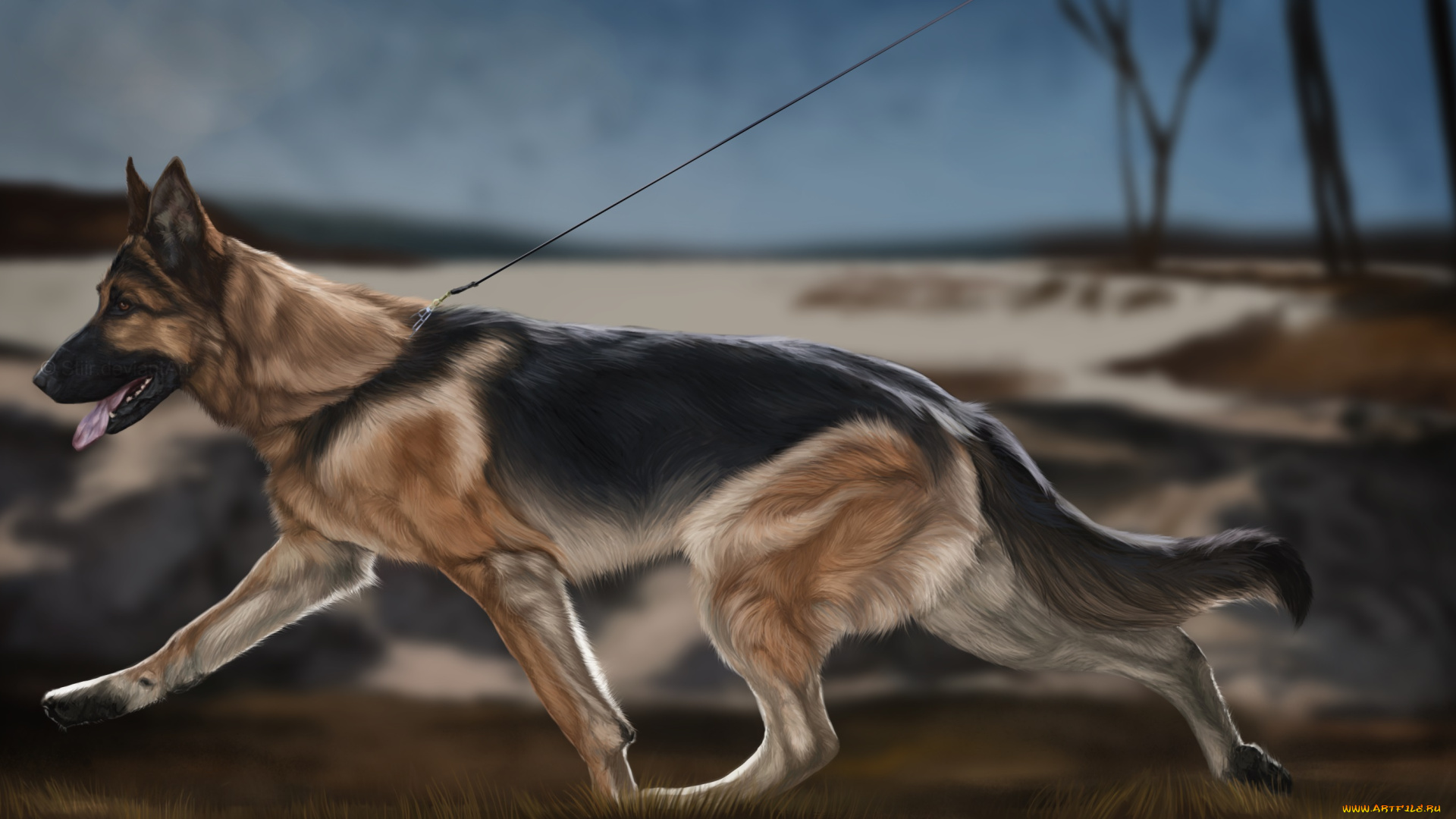 рисованные, животные, собаки, собака