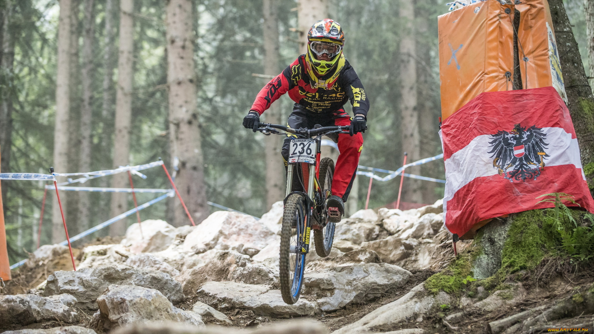 спорт, велоспорт, велосипед, гонка